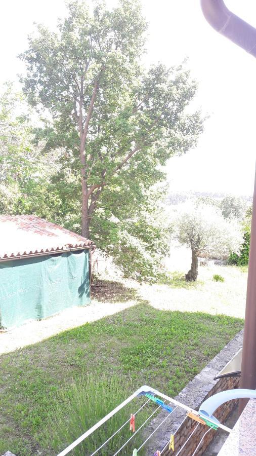 Apartment Radovan Пореч Екстериор снимка